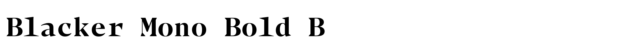 Blacker Mono Bold B image